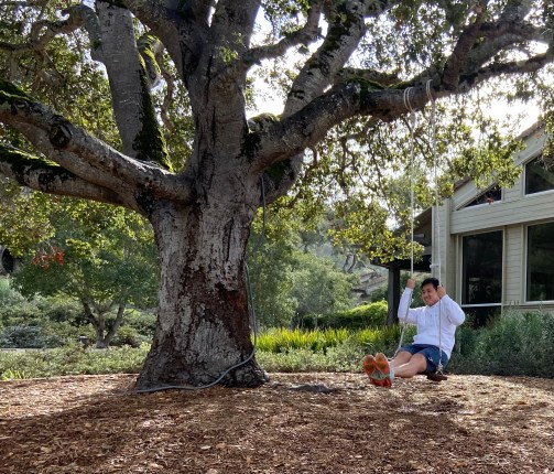 Hyatt Globalist: The Crown Jewel of Hotel Elite Status