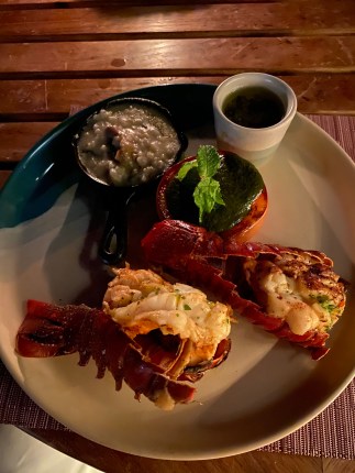 El Farallon: Excellent Seafood and Magnificent Sunset Views. What’s not to love?