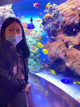 Experience Marine Education at the Adventurous Monterey Bay Aquarium
